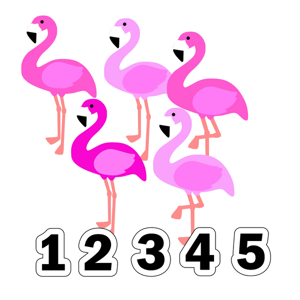 Five Pink Flamingos