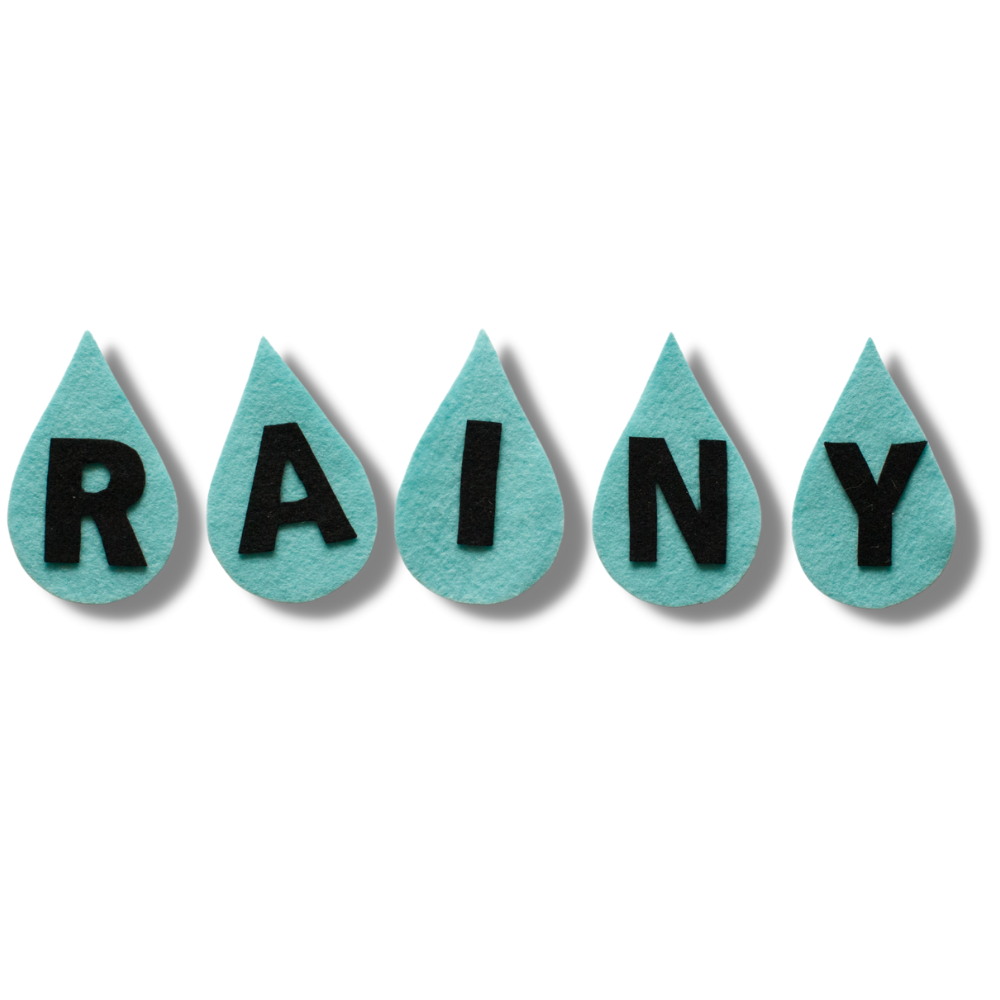 RAINY R-A-I-N-Y Weather BINGO Song Felt Set Pattern