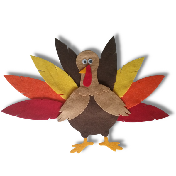 Turkey Feathers